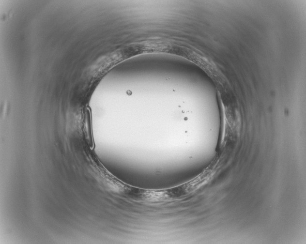 X0000060800333200511101425