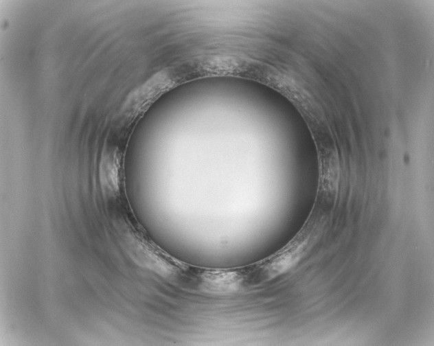 X0000060800334200511101425