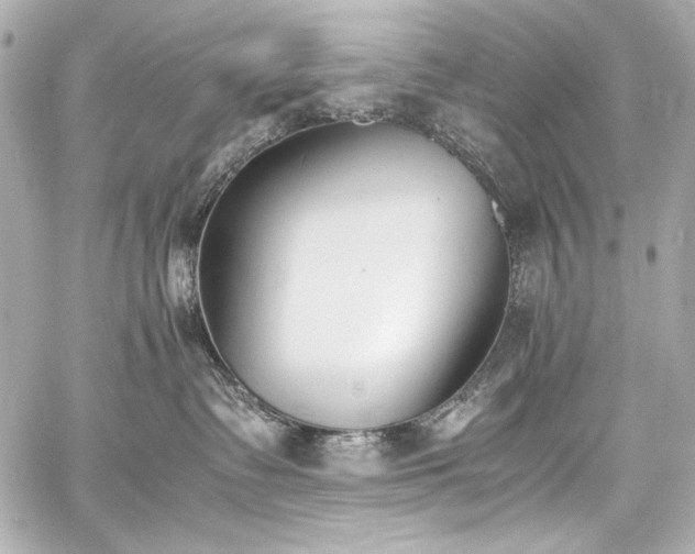 X0000060800335200511101425