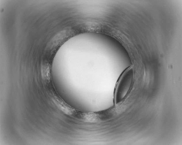 X0000060800336200511101425