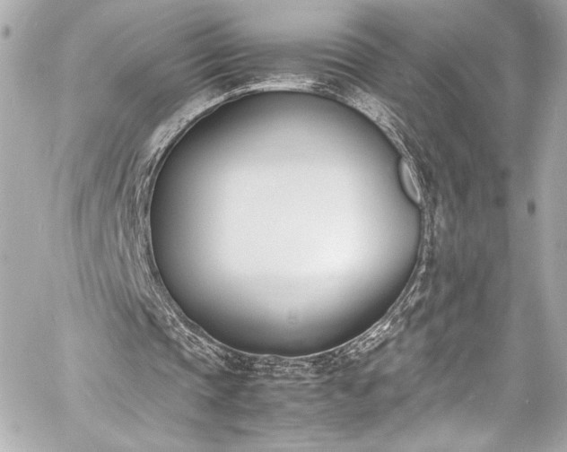 X0000060800337200511101425