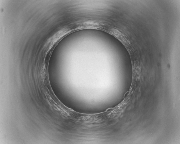 X0000060800338200511101425