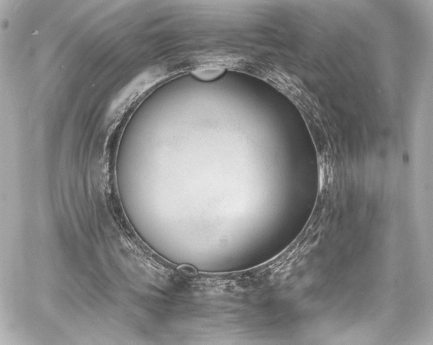 X0000060800339200511101425