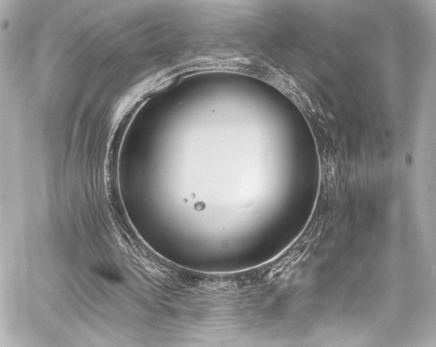 X0000060800340200511101425