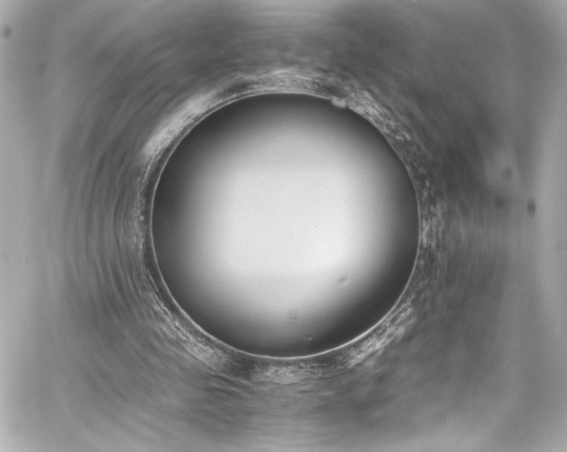 X0000060800341200511101425