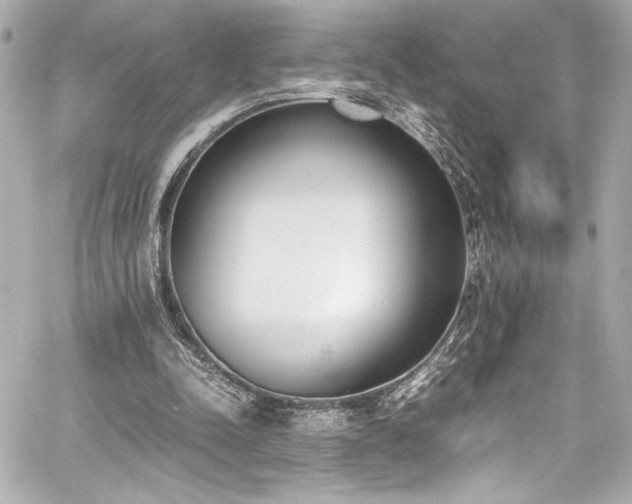 X0000060800342200511101425