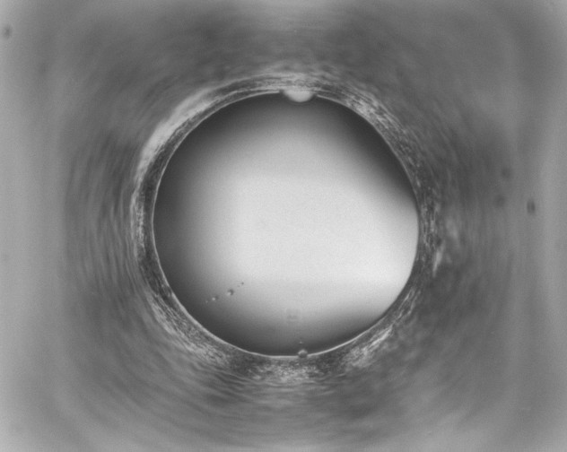 X0000060800343200511101425