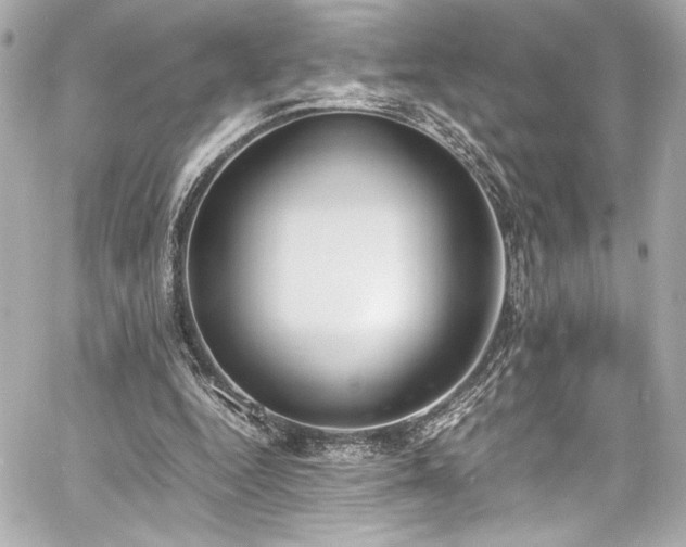 X0000060800344200511101425