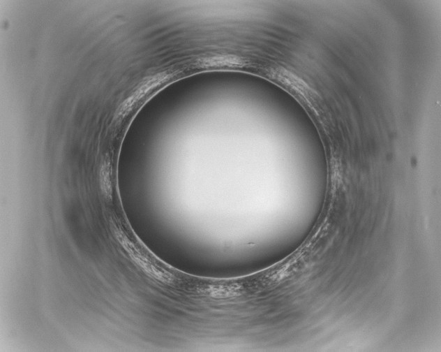 X0000060800345200511101425