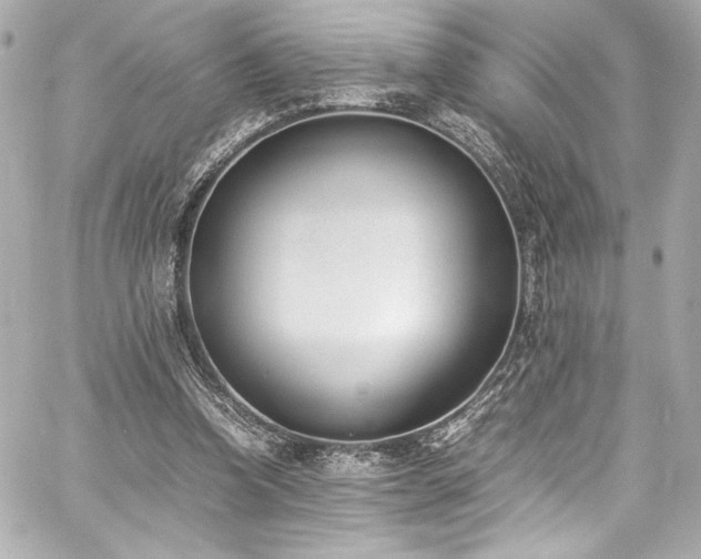 X0000060800346200511101425