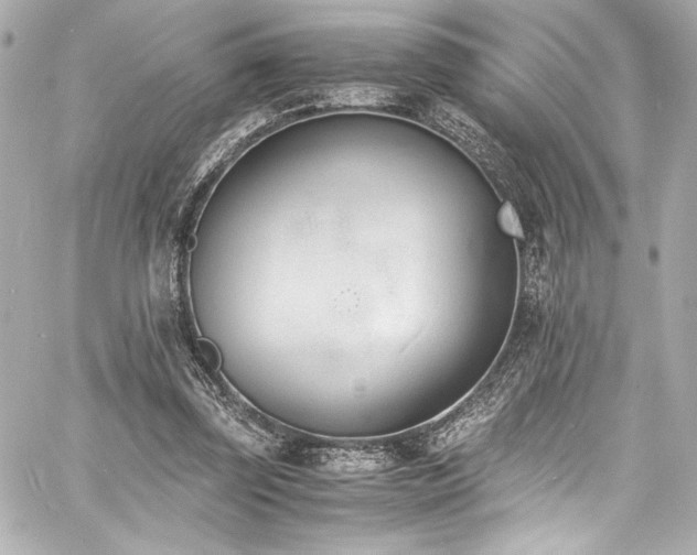 X0000060800347200511101425