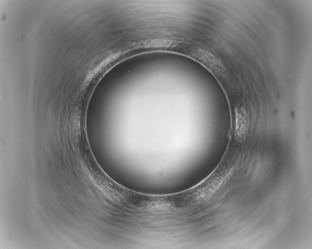 X0000060800348200511101425