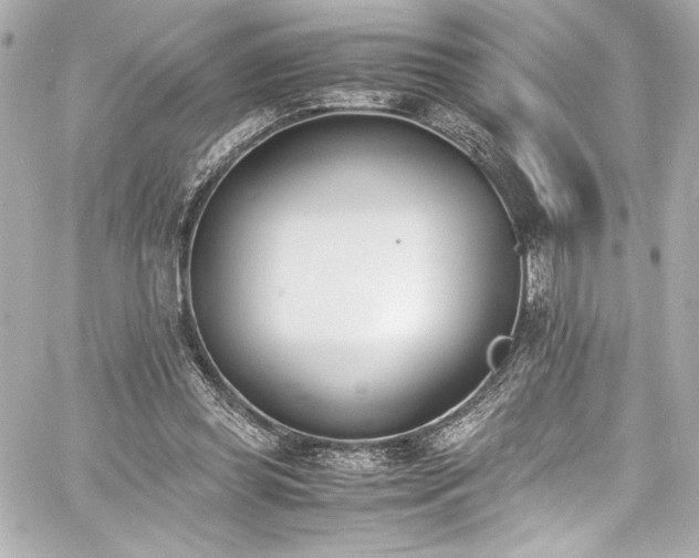 X0000060800349200511101425