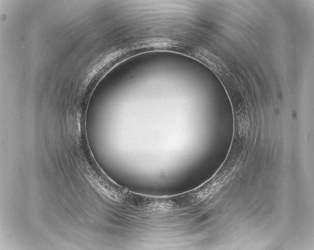 X0000060800350200511101425