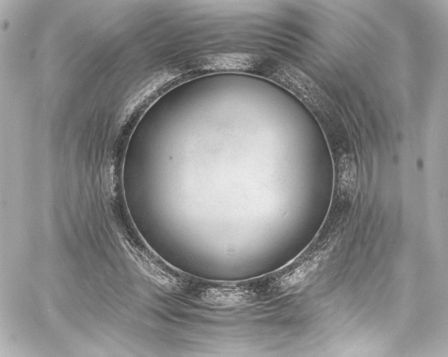 X0000060800351200511101425