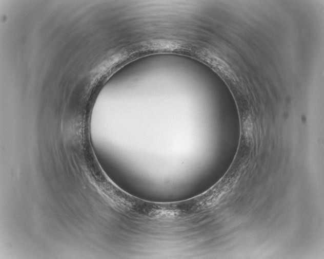 X0000060800352200511101425