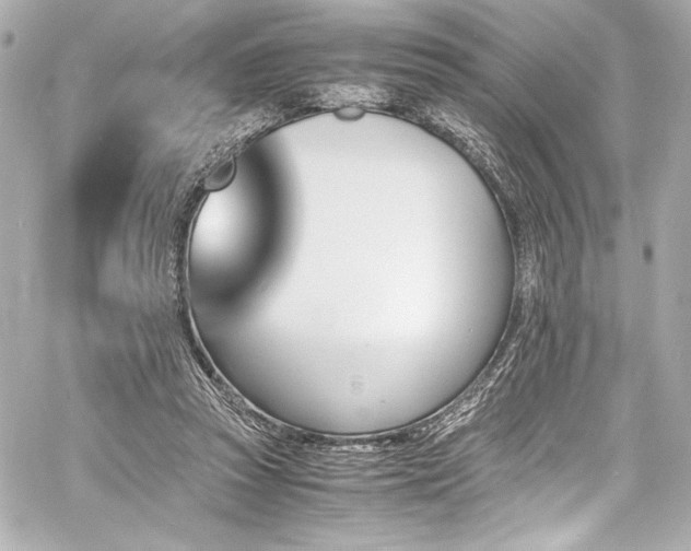 X0000060800353200511101425