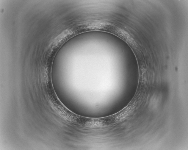 X0000060800354200511101425