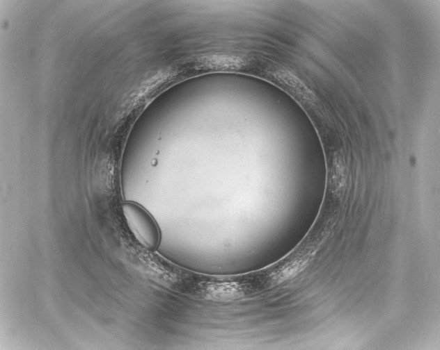 X0000060800355200511101425