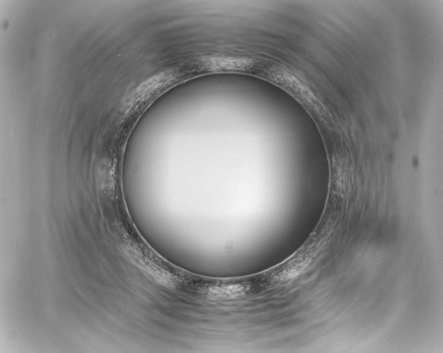 X0000060800357200511101425