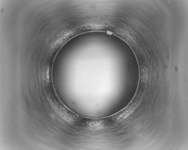 X0000060800358200511101425