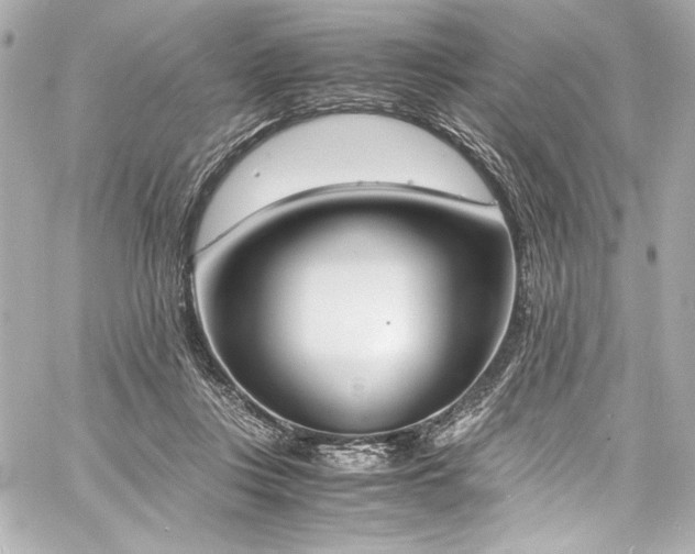 X0000060800359200511101425