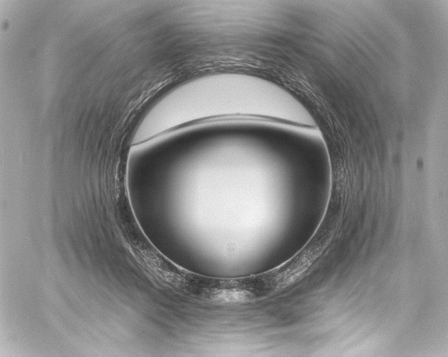 X0000060800360200511101425