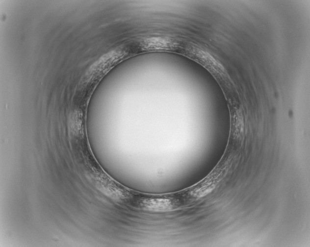 X0000060800361200511101425