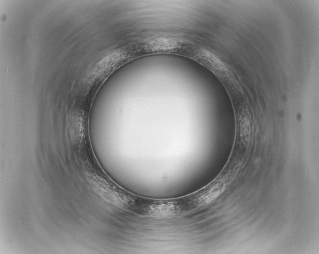 X0000060800362200511101425