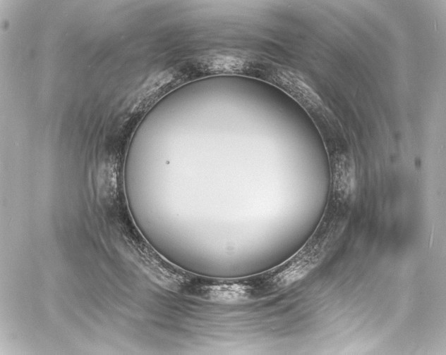 X0000060800363200511101425