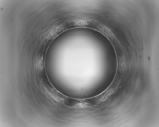 X0000060800364200511101425