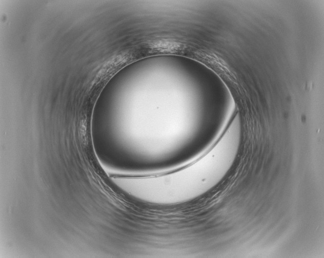 X0000060800365200511101425