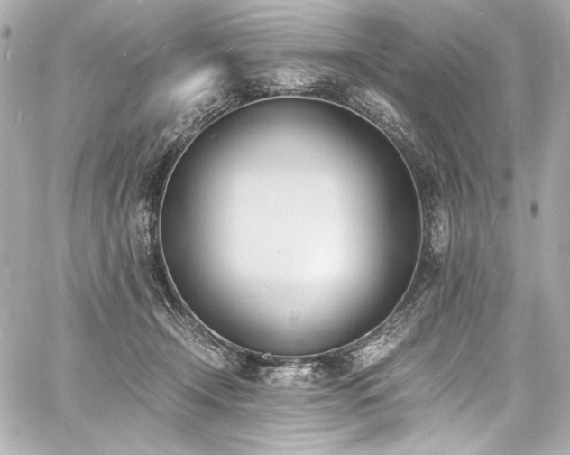 X0000060800366200511101425