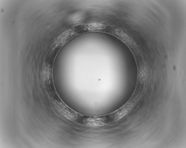 X0000060800367200511101425