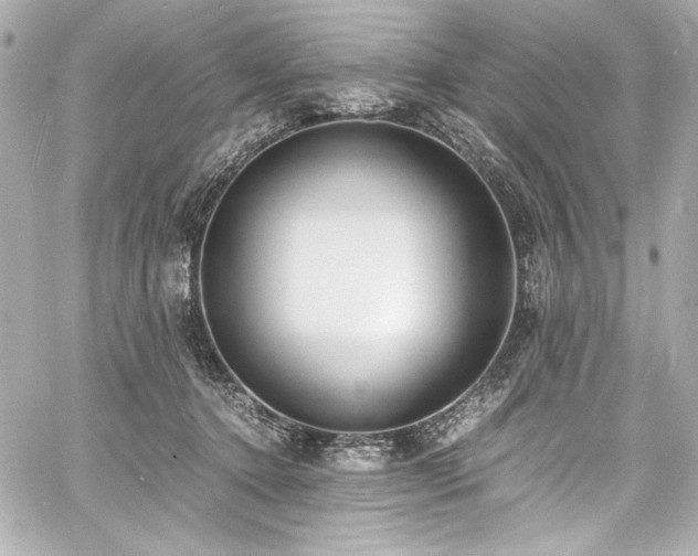 X0000060800368200511101425