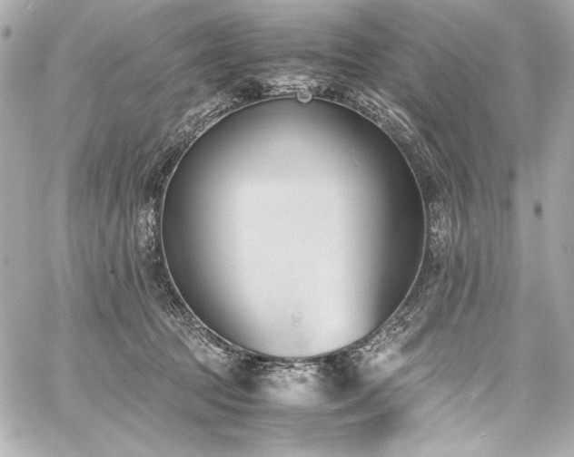 X0000060800369200511101425