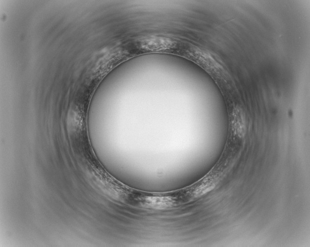 X0000060800371200511101425