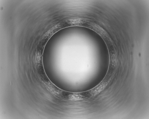 X0000060800372200511101425