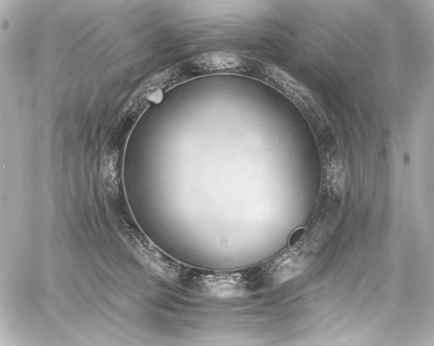 X0000060800373200511101425