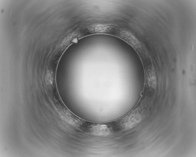 X0000060800374200511101425