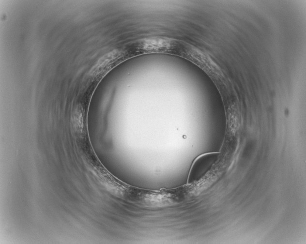 X0000060800375200511101425