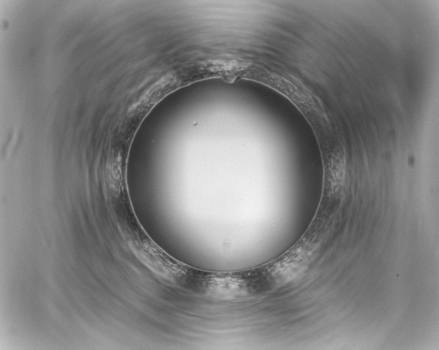 X0000060800376200511101425