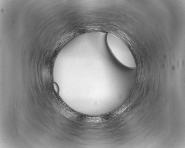 X0000060800377200511101425