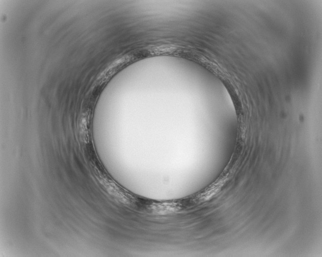 X0000060800378200511101425