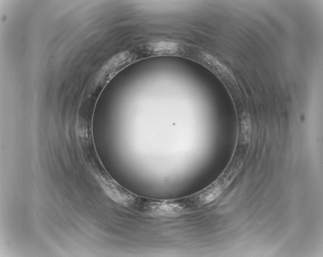 X0000060800379200511101425