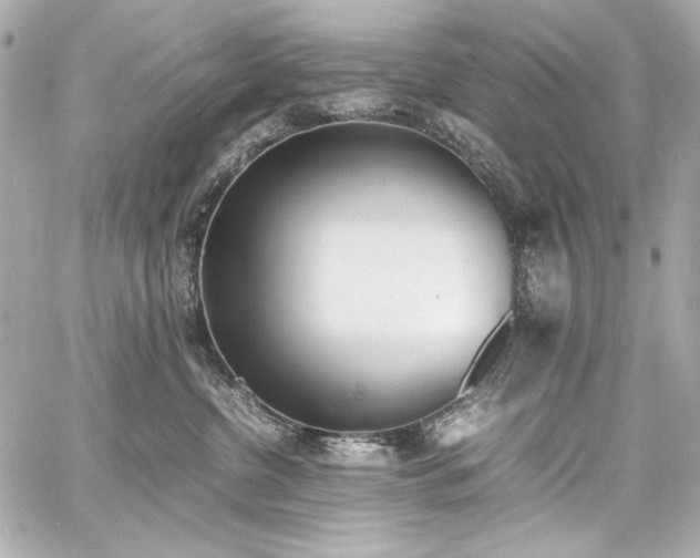 X0000060800380200511101425