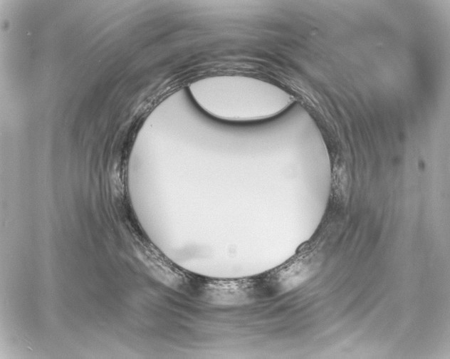 X0000060800381200511101425