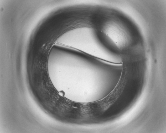 X0000060800382200511101425