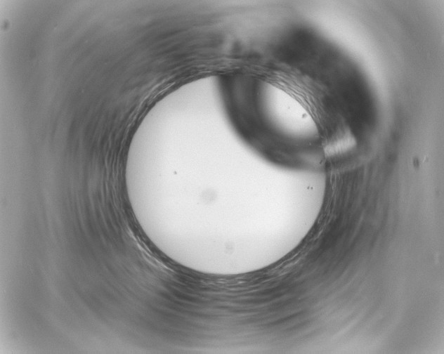 X0000060800383200511101425