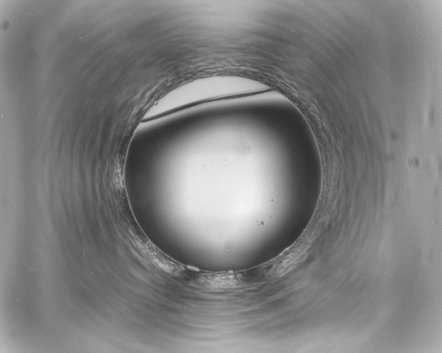 X0000060800384200511101425